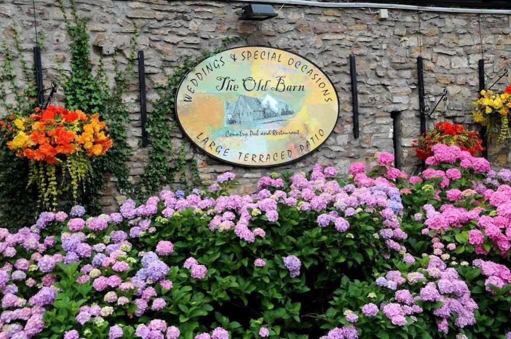 The Old Barn Inn Newport  Exterior foto